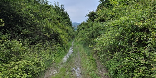 IMG 20180522 183922
