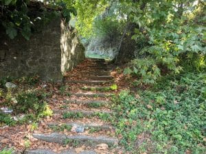 IMG 20180902 093258