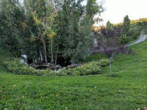 IMG 20171004 174224