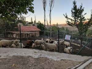 IMG 20171004 180117