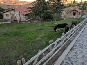 IMG 20171004 180231