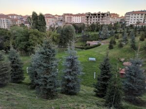 IMG 20171004 181306