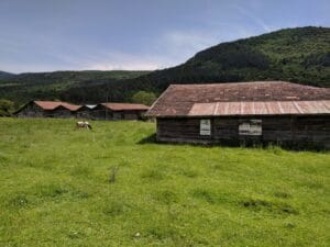 IMG 20180520 123455