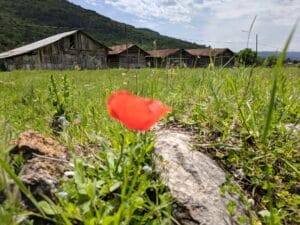 IMG 20180520 123710