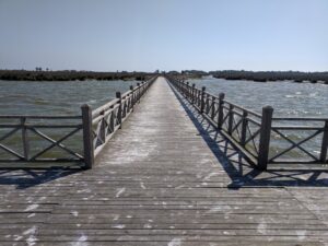 IMG 20190905 102600
