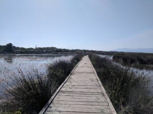 IMG 20190905 104629