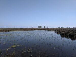 IMG 20190905 105129