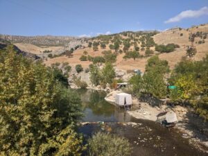 IMG 20191020 105214