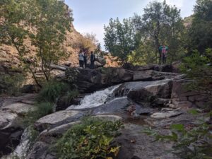 IMG 20191021 115318