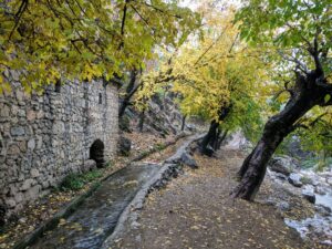 IMG 20191127 154529