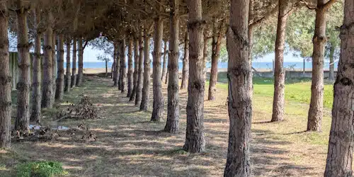 19 Mayıs sahili su basarlık kontrolü için saha çalışması yapıldı