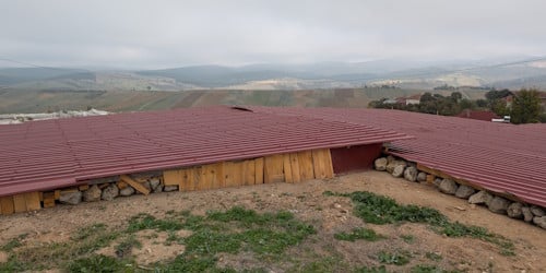 PXL 20241101 074422937