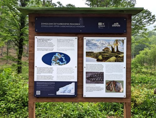 PXL 20230512 061859532