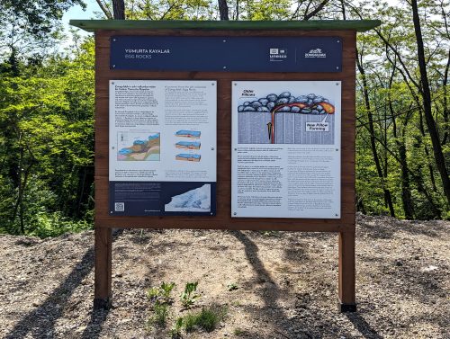 PXL 20230601 071913837