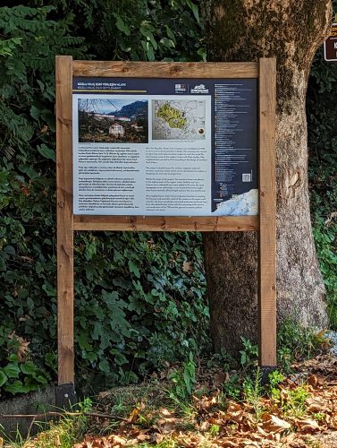 PXL 20230821 101047970.PORTRAIT.ORIGINAL