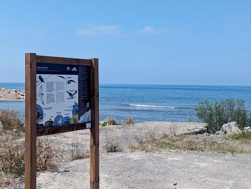 PXL 20230821 102305277