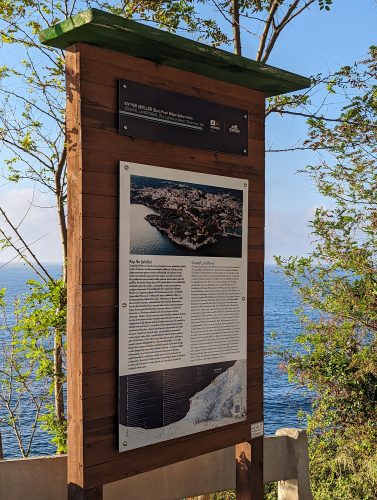 PXL 20230821 151826766