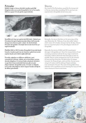 fener firtinalar 1li