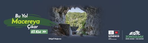 ozel idare tanitim tabelasi gokgol 65km