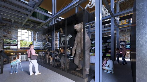 1. kat: Jeolojik zaman çizelgesi ve yaşam